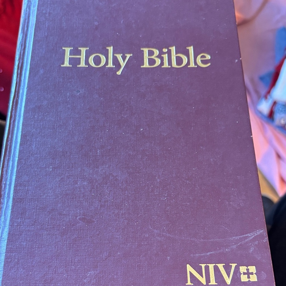 NIV Holy Bible large Print HC